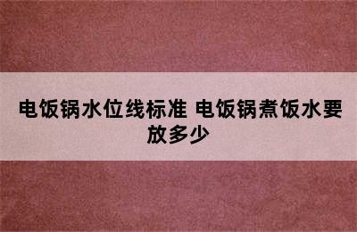 电饭锅水位线标准 电饭锅煮饭水要放多少